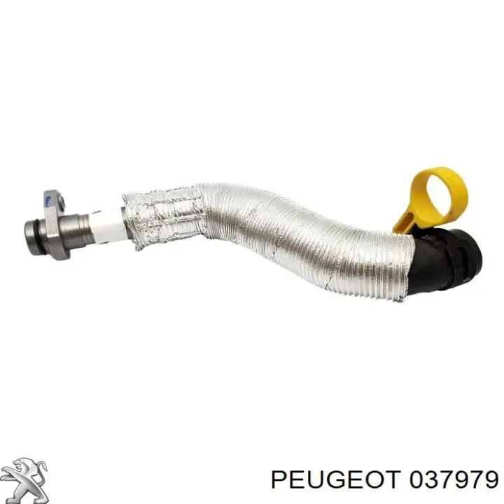 037979 Peugeot/Citroen tubo (manguera Para Drenar El Aceite De Una Turbina)