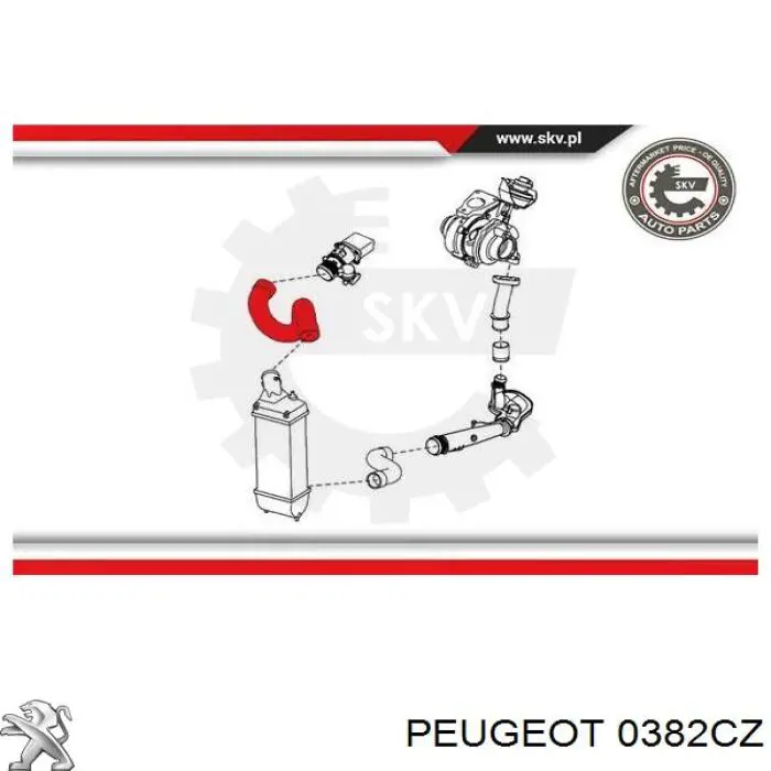 0382CZ Peugeot/Citroen tubo flexible de aire de sobrealimentación superior