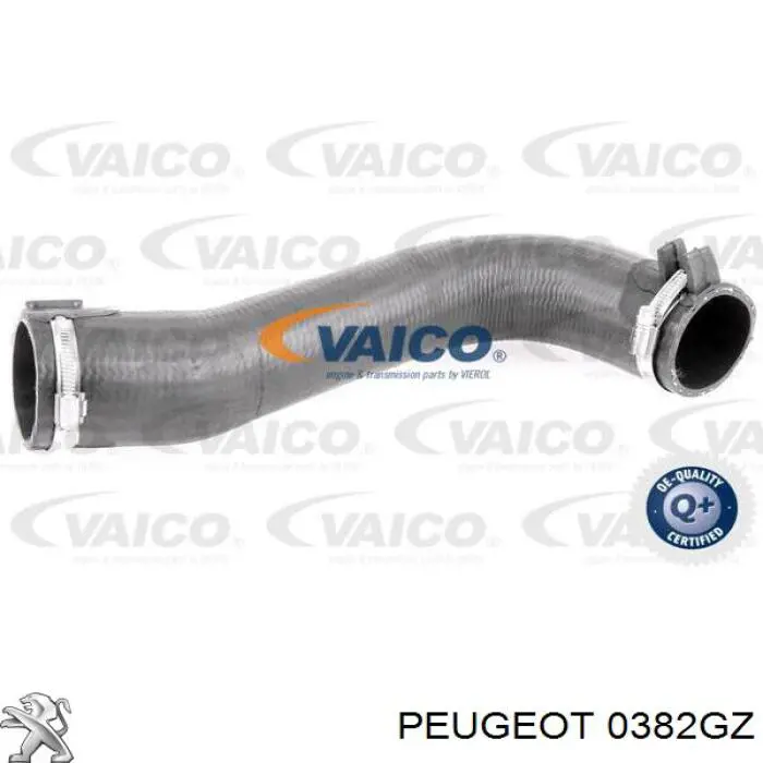 Tubo flexible de aire de sobrealimentación Peugeot/Citroen 0382GZ