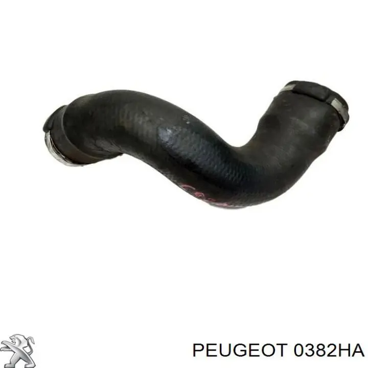 Manguera del intercooler Peugeot/Citroen 0382HA precio, desde 22,96 EUR