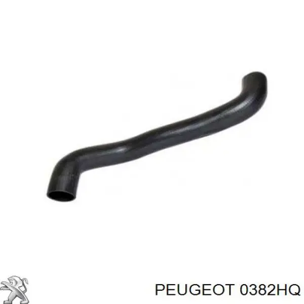 0382P8 Peugeot/Citroen tubo flexible de aire de sobrealimentación inferior derecho