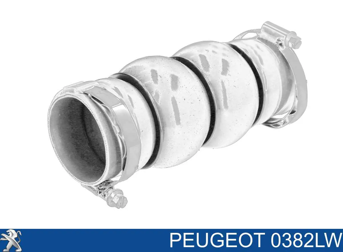 Manguera del intercooler Peugeot/Citroen 0382LW precio, desde 25,04 EUR