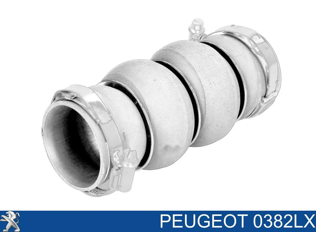 Manguera del intercooler Peugeot/Citroen 0382LX precio, desde 25,04 EUR