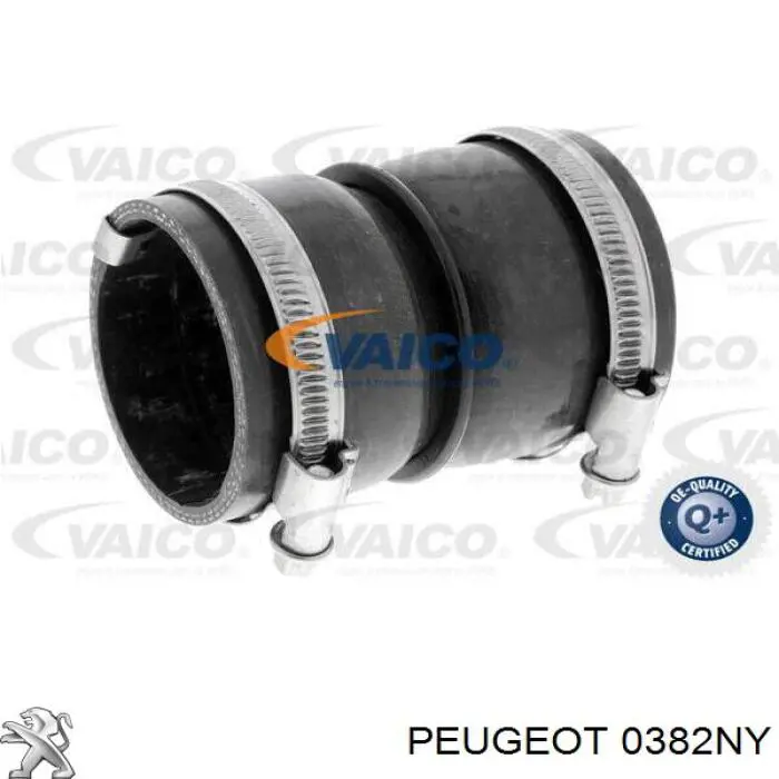0382NY Peugeot/Citroen Manguera del intercooler