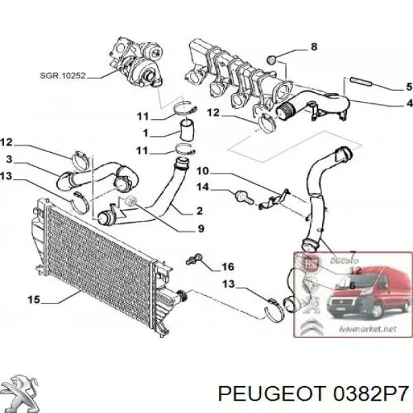 0382P7 Peugeot/Citroen tubo intercooler