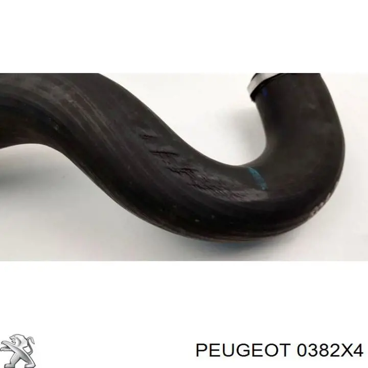 Manguera del intercooler Fiat/Alfa/Lancia 1488855080 precio, desde 27,83 EUR