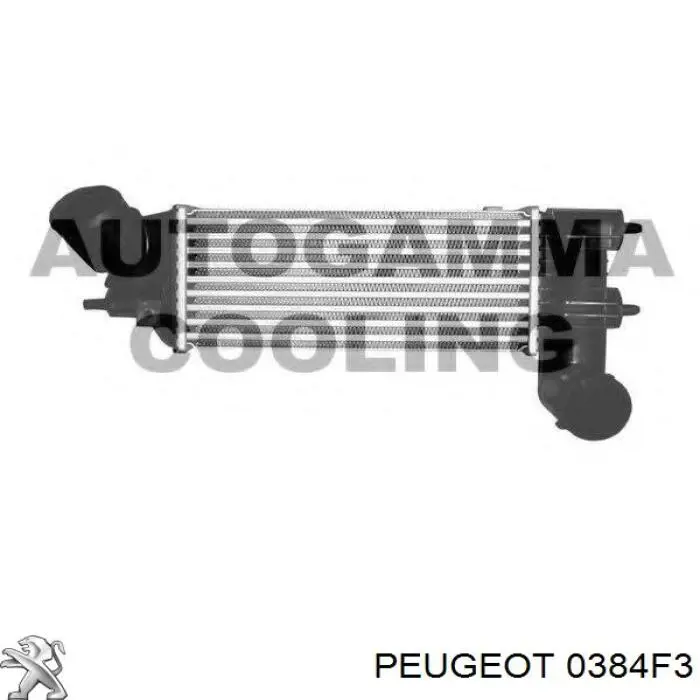 Comprar 0384F3 Peugeot/Citroen Turbo intercooler