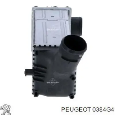 0384G4 Peugeot/Citroen intercooler