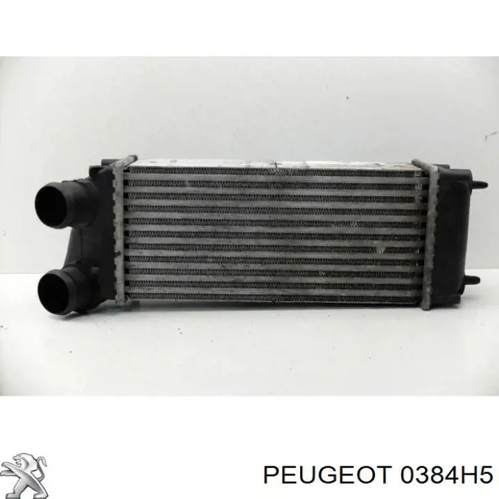 Radiador de aire de admisión Peugeot/Citroen 0384H5 precio, desde 46,46 EUR
