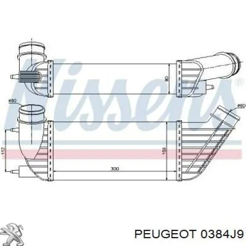 Radiador de aire de admisión Peugeot/Citroen 0384J9 precio, desde 94,38 EUR