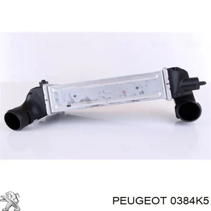 Radiador de aire de admisión para Peugeot 307 (3B)