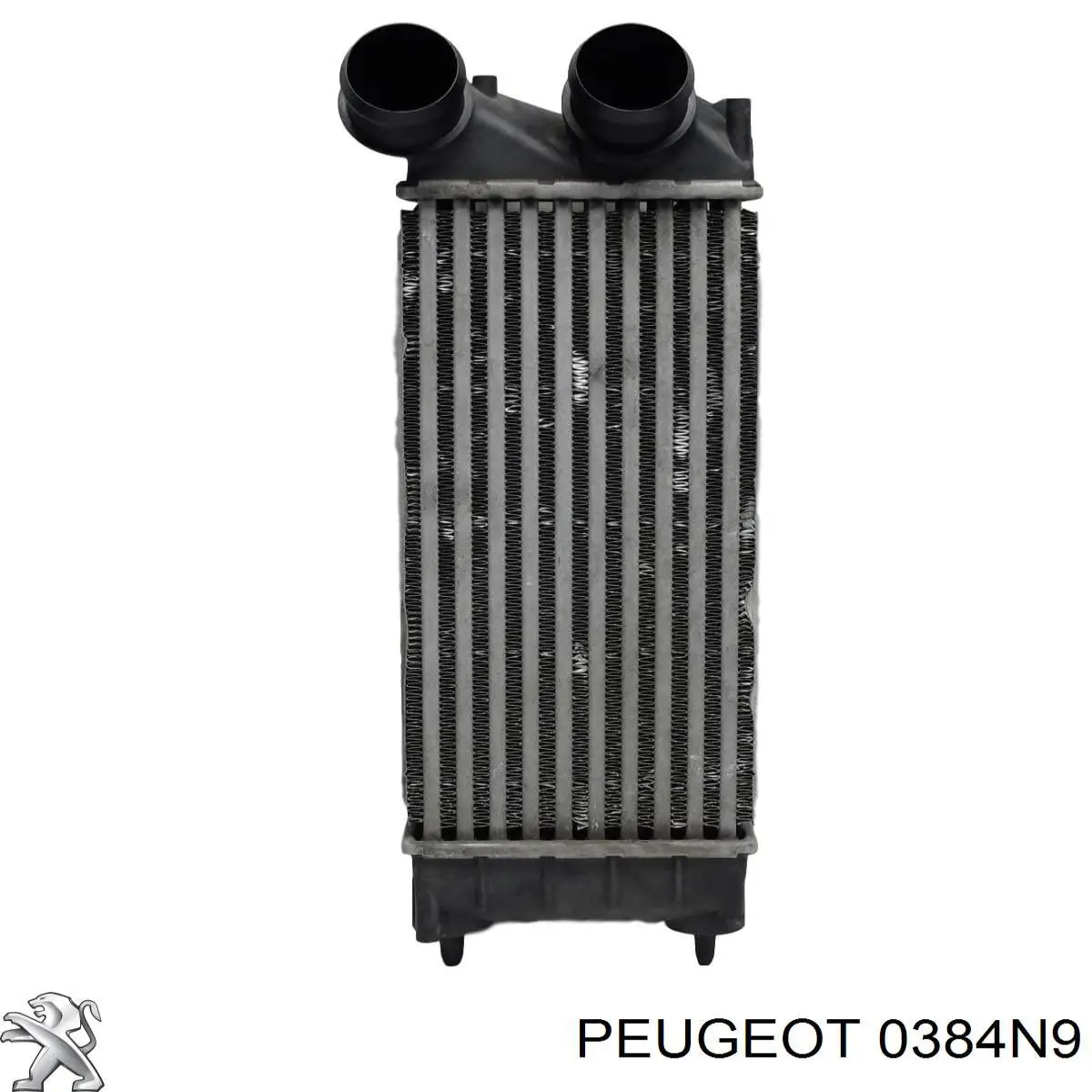 Intercooler IA2077 Peugeot/Citroen