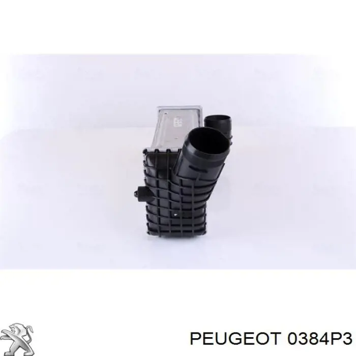Radiador de aire de admisión Peugeot/Citroen 0384P3 precio, desde 102,74 EUR