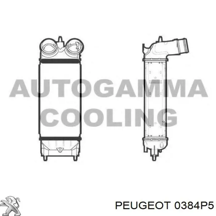 Radiador de aire de admisión Peugeot/Citroen P9684946380 precio, desde 85,67 EUR
