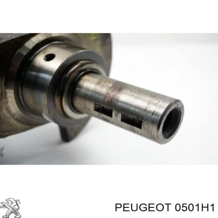 Cigüeñal Peugeot/Citroen 0501H1 precio, desde 1969,11 EUR