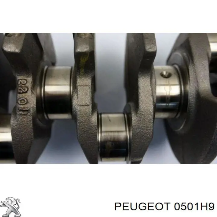 Cigüeñal del motor Peugeot/Citroen 0501H9