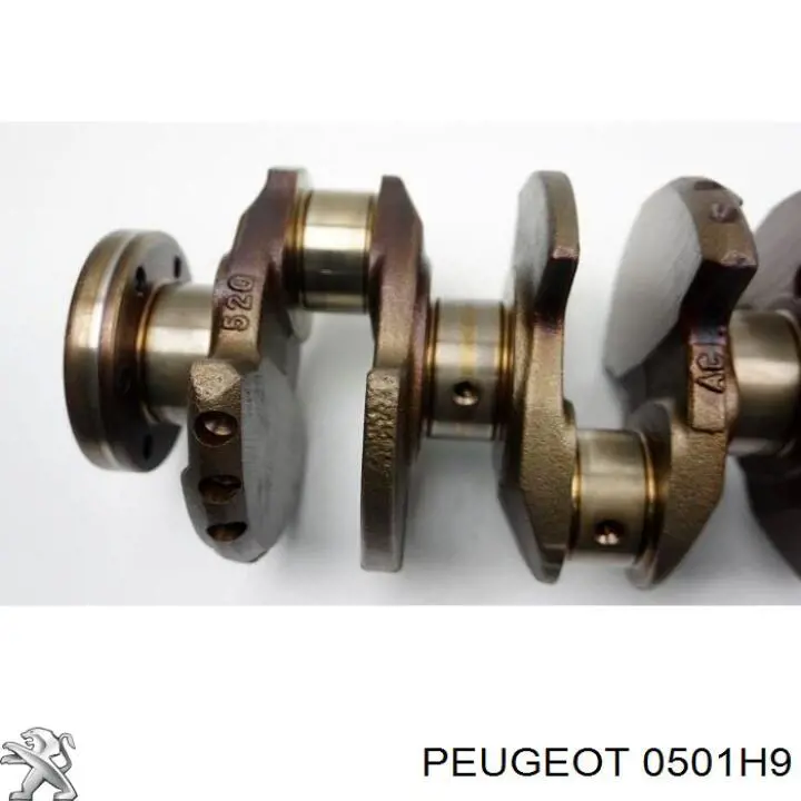 0501H9 Peugeot/Citroen Cigüeñal