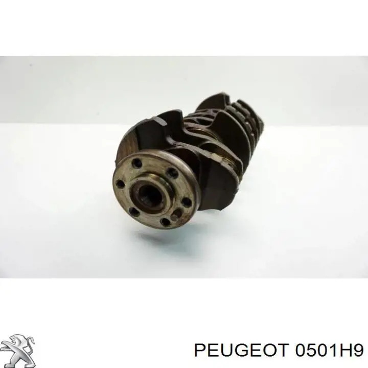 Cigüeñal Peugeot/Citroen 0501H9 precio, desde 1242,34 EUR