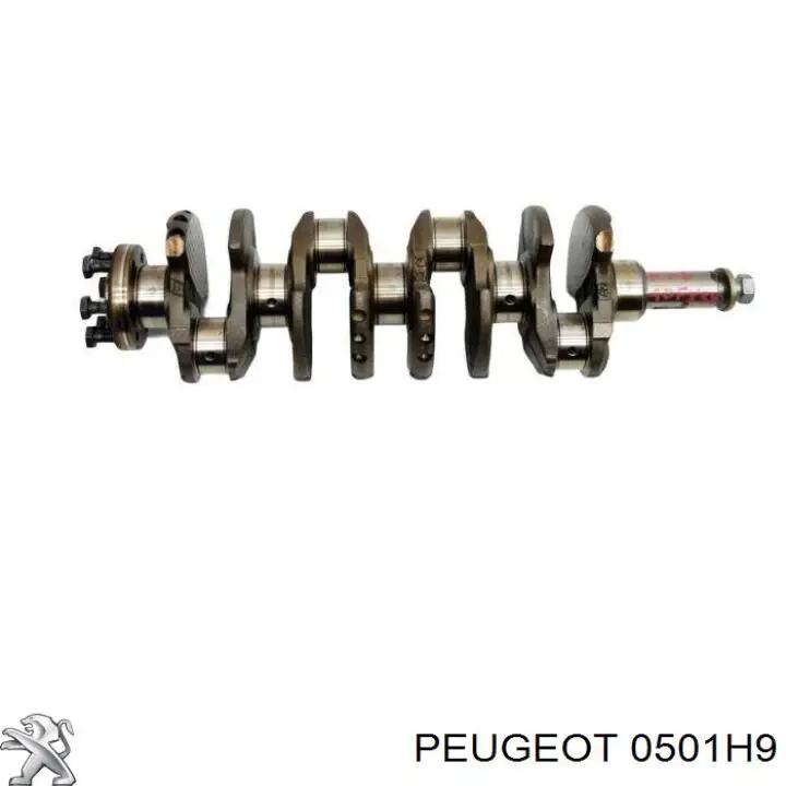 Cigüeñal Peugeot/Citroen 0501H9 precio, desde 1242,34 EUR
