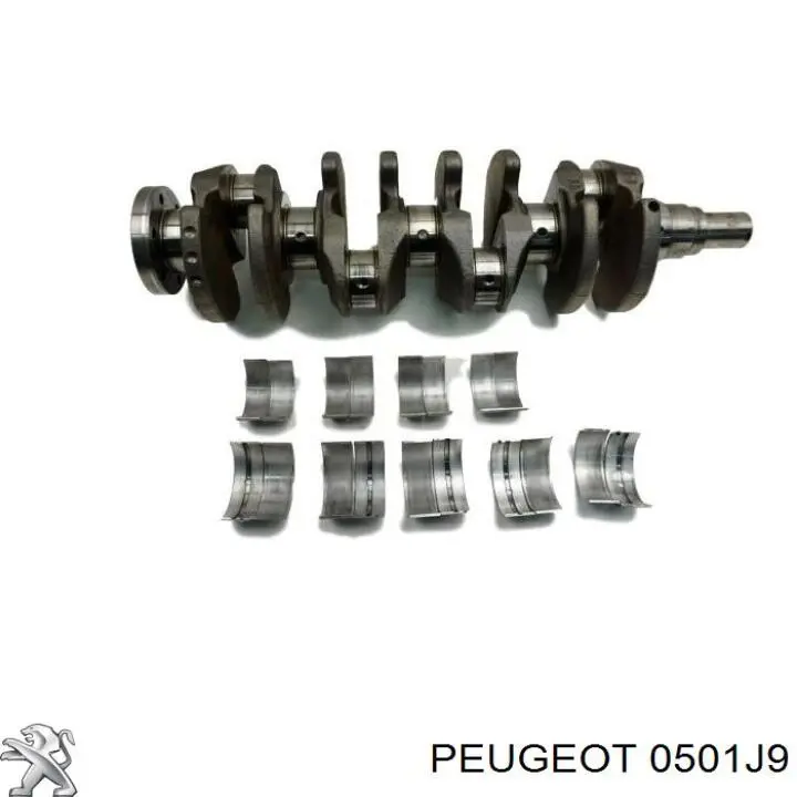 Cigüeñal Peugeot/Citroen 0501J9 precio, desde 193,12 EUR