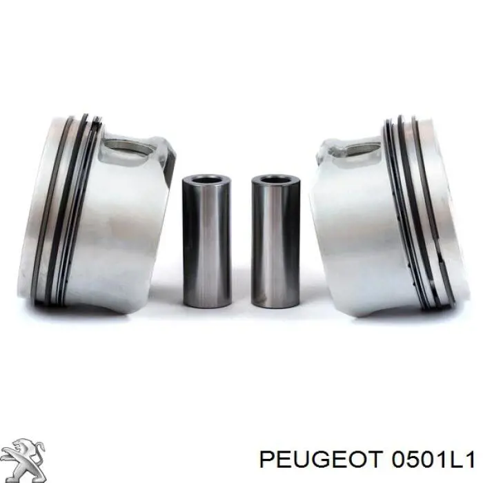 Cigüeñal 0501L1 Peugeot/Citroen