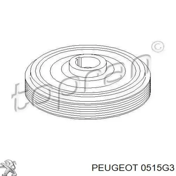 Polea del cigüeñal Peugeot/Citroen 0515G3 precio, desde 40,69 EUR