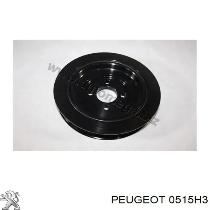 Polea dámper Peugeot/Citroen 0515H3