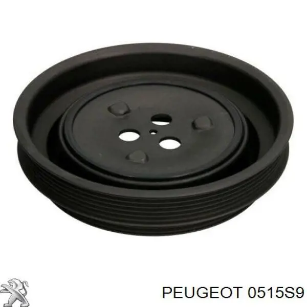 Polea del cigüeñal Peugeot/Citroen 0515S9 precio, desde 93,85 EUR