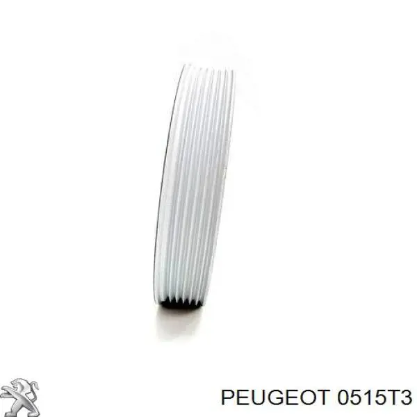 0515T3 Peugeot/Citroen polea de cigüeñal
