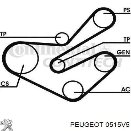 Polea del cigüeñal Peugeot/Citroen 0515V5 precio, desde 60,68 EUR