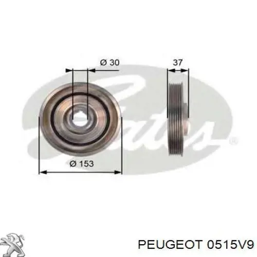 Polea del cigüeñal Peugeot/Citroen 0515V9 precio, desde 39,70 EUR