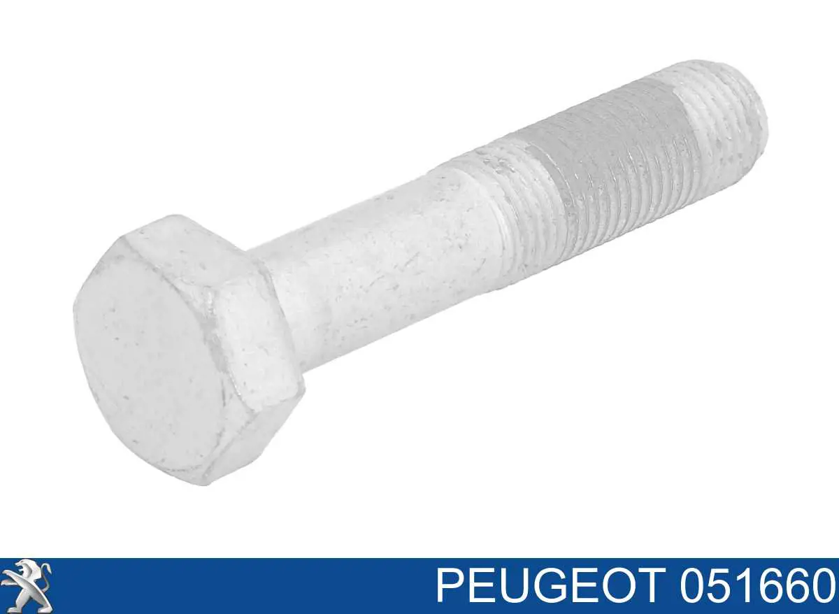 Perno de la polea del cigüeñal Peugeot/Citroen 051660 precio, desde 2,74 EUR