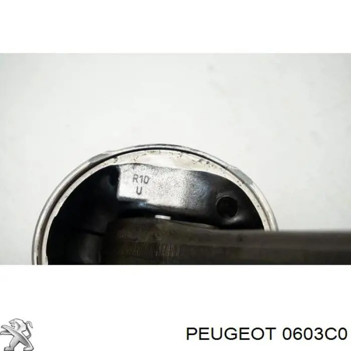 Biela Peugeot/Citroen 0603C0 precio, desde 80,95 EUR