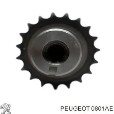 Comprar 0801AE Peugeot/Citroen Árbol de levas de escape