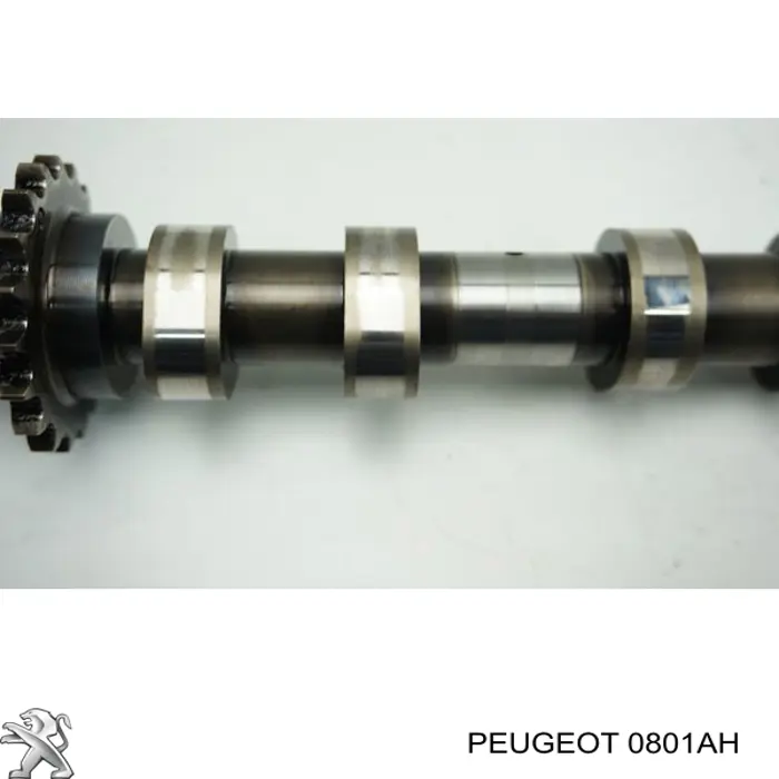 Árbol de levas de escape Peugeot/Citroen 0801AH precio, desde 135,49 EUR