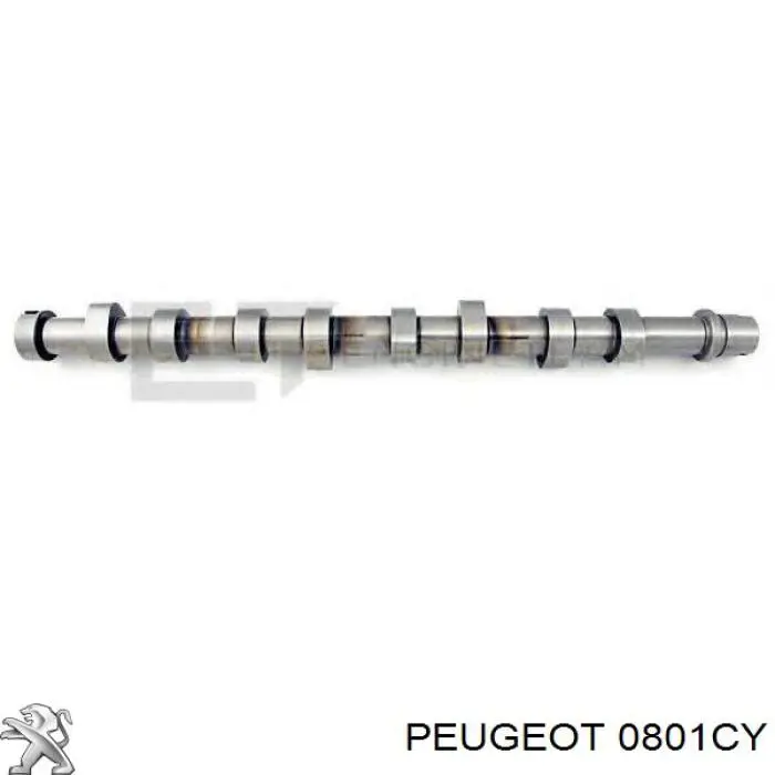 0801CY Peugeot/Citroen árbol de levas