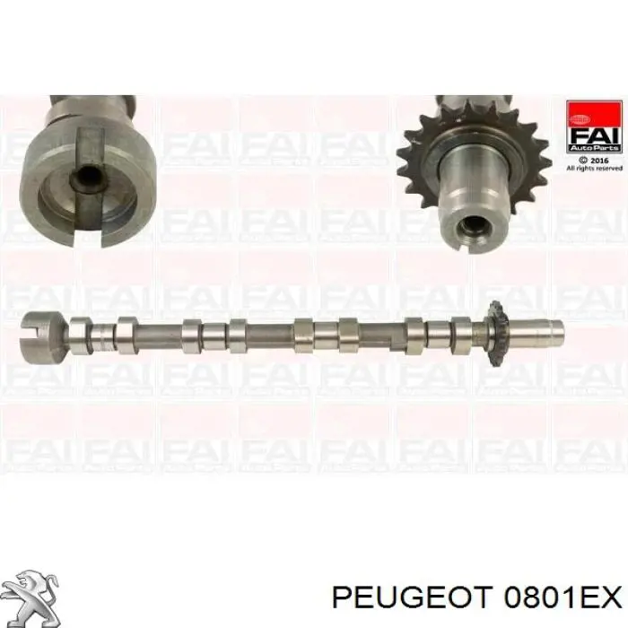 Comprar 0801EX Peugeot/Citroen Árbol de levas de escape