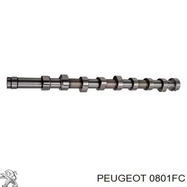 0801FC Peugeot/Citroen árbol de levas