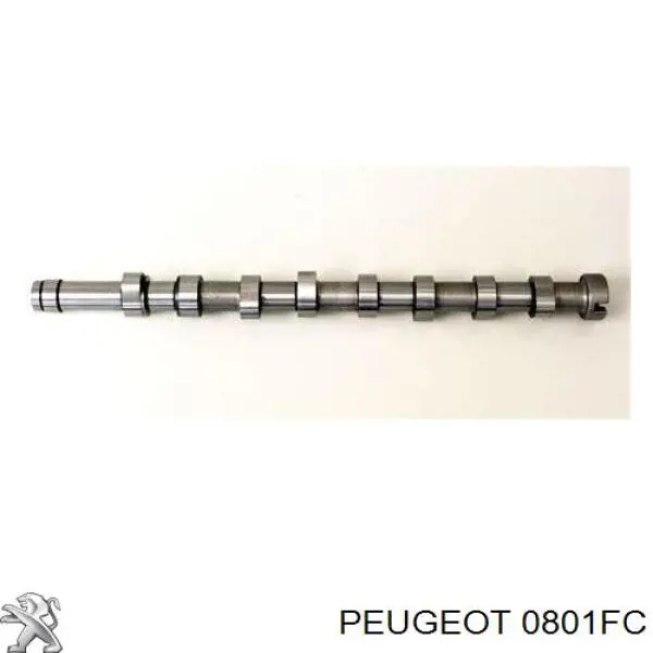 Árbol de levas Peugeot 207 WA, WC