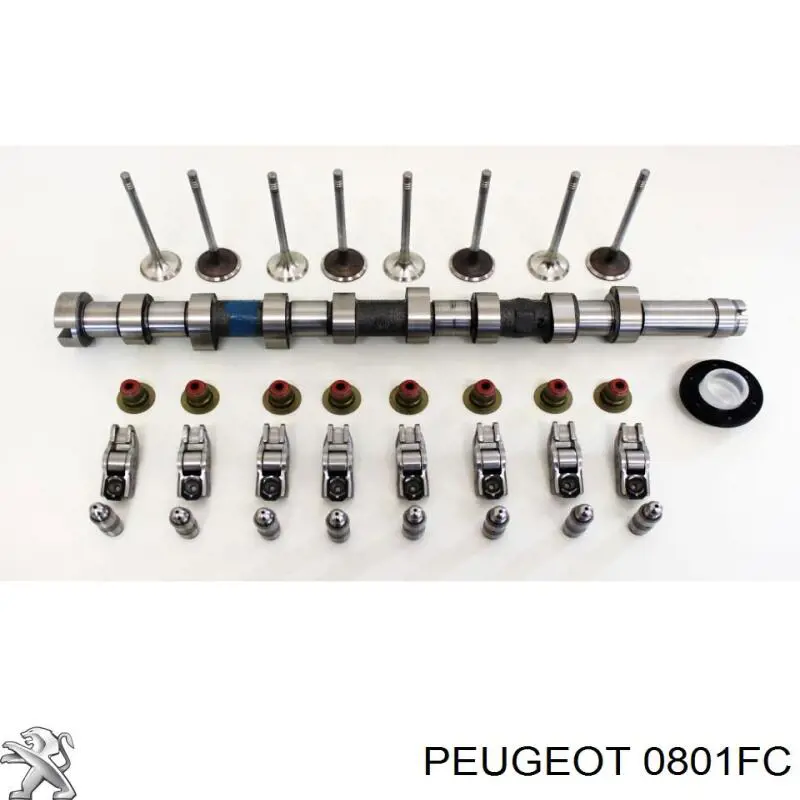Árbol de levas Peugeot 207 WA, WC