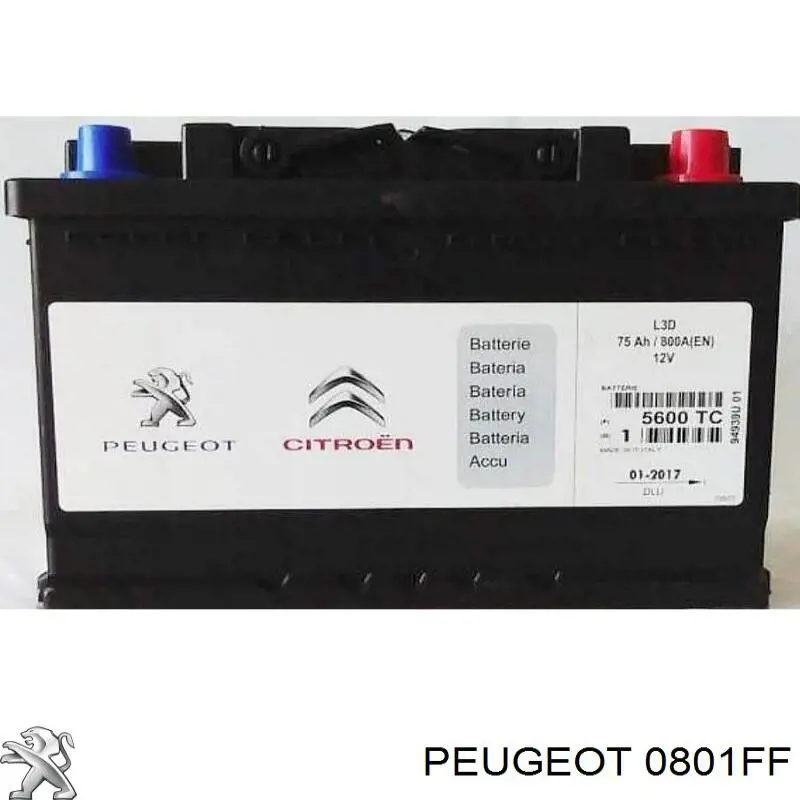 Árboles de levas Peugeot/Citroen 0801FF precio, desde 181,39 EUR