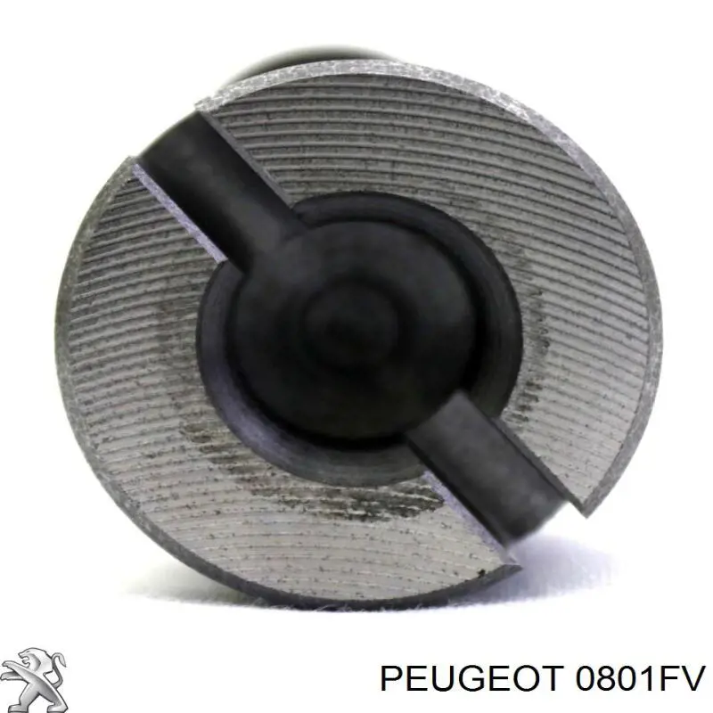 Árboles de levas Peugeot/Citroen 0801FV precio, desde 161,04 EUR