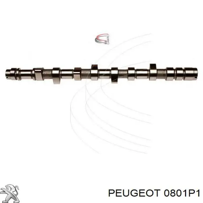 Árboles de levas Peugeot/Citroen 0801K6 precio, desde 522,82 EUR