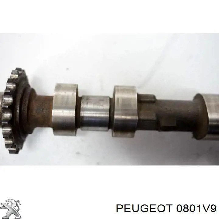 Comprar 0801V9 Peugeot/Citroen Árbol de levas