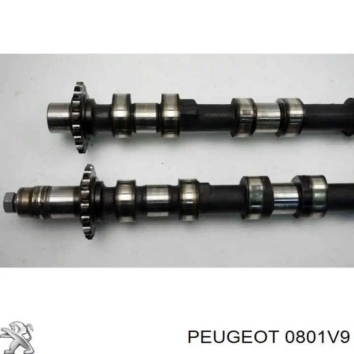 Árbol de levas de entrada 0801V9 Peugeot/Citroen