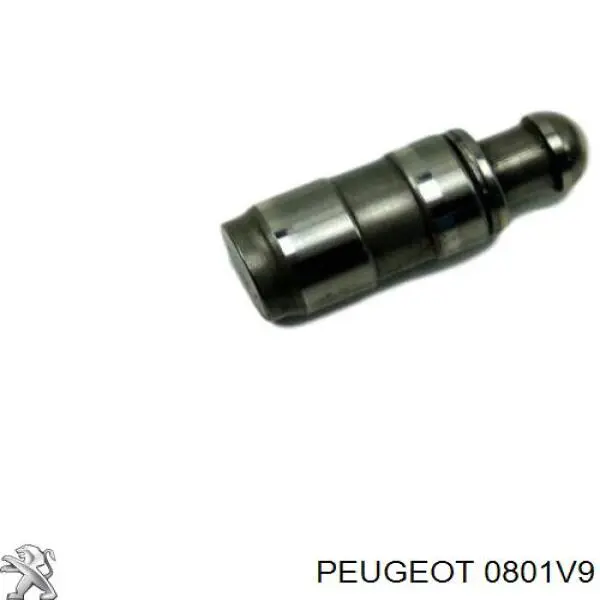 Árbol de levas admisión Peugeot/Citroen 0801V9