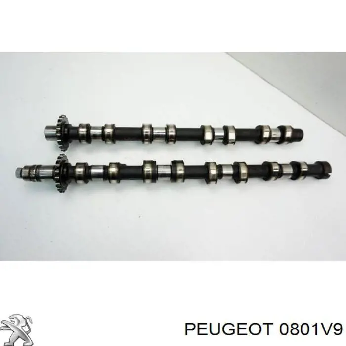 Árboles de levas Peugeot/Citroen 0801V9 precio, desde 151,17 EUR