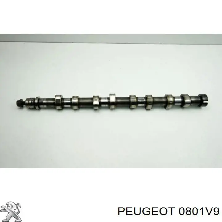 Árboles de levas Peugeot/Citroen 0801V9 precio, desde 151,17 EUR