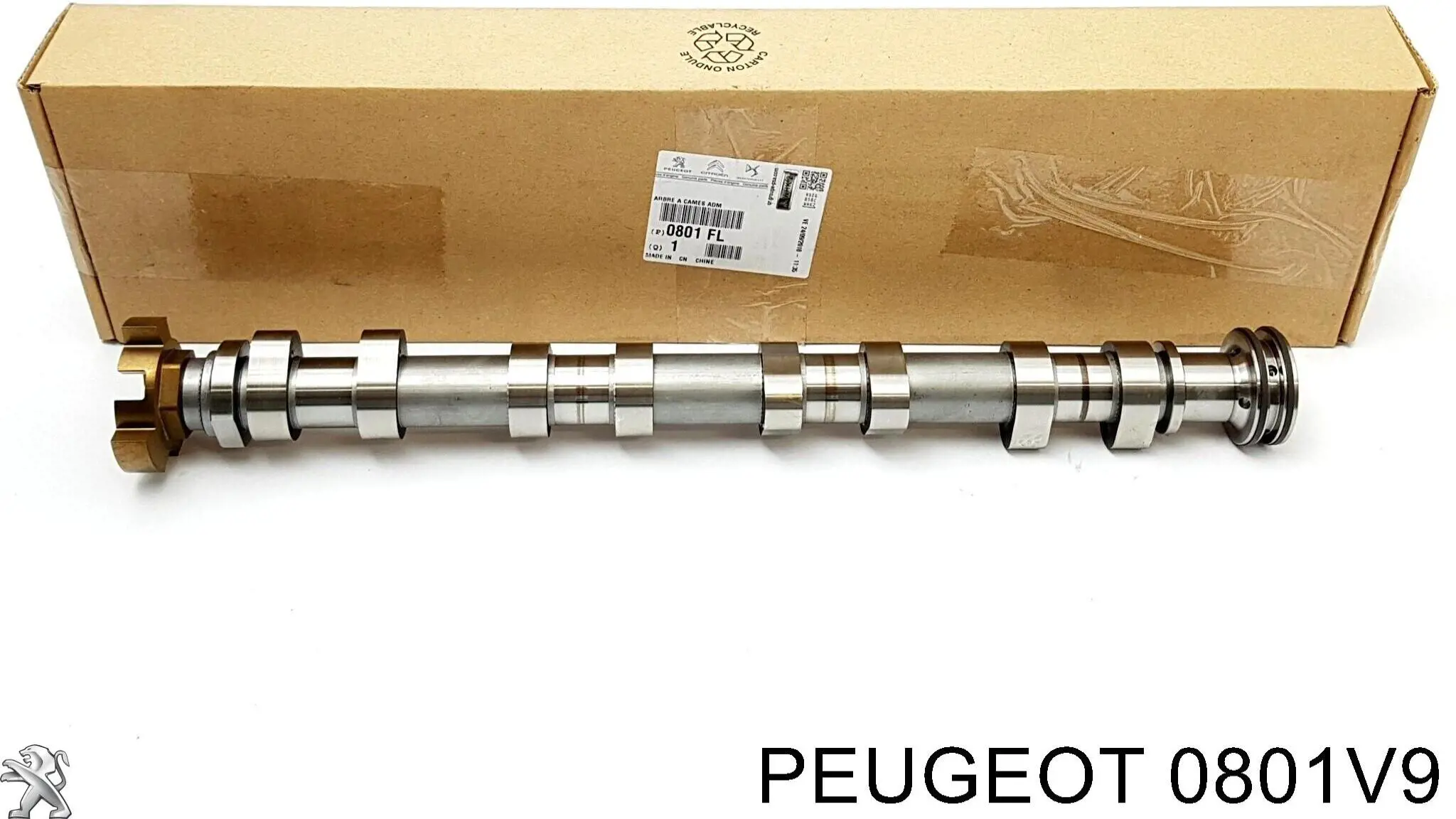 0801V9 Peugeot/Citroen Árbol de levas de entrada