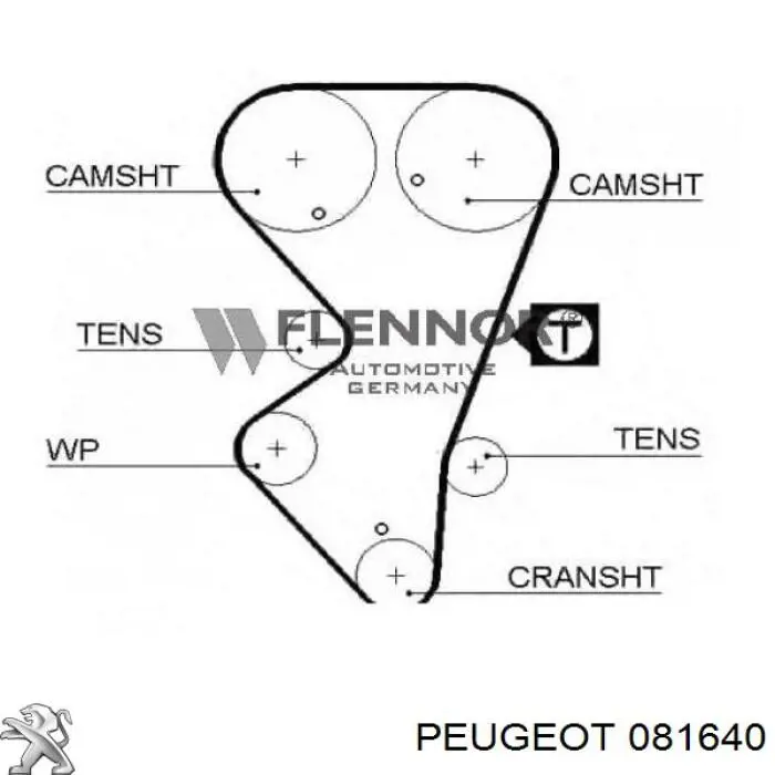 9154055780 Peugeot/Citroen correa distribucion